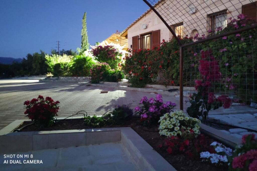 Stonehouse Olivelia - Afrathias Beach Tympáki Exterior photo