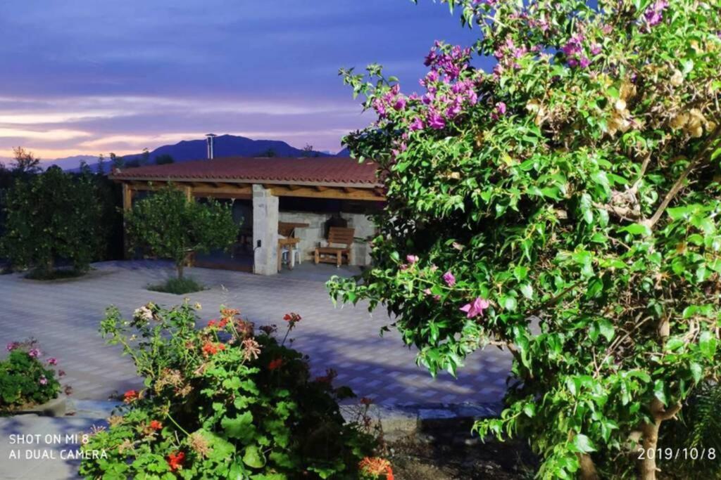 Stonehouse Olivelia - Afrathias Beach Tympáki Exterior photo